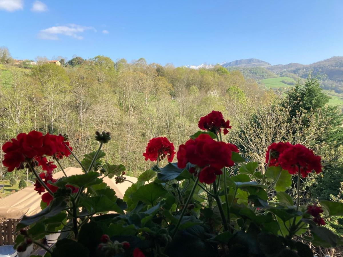 Casa Elena Cangas De Onis Con Wifi Y Parking Gratuito Extérieur photo